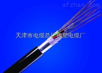 MGTSV-矿用阻燃单模光缆 守护矿井通信的安全防线